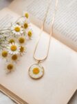 Hər çiçək bir xatirə - "Daisy" kolleksiyasından